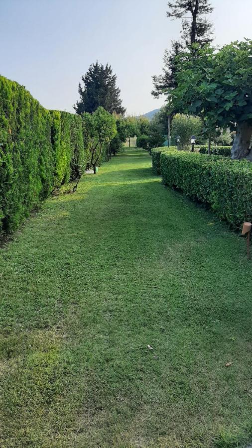 Bed and Breakfast Casale Battaglini Castelnuovo Cilento Екстер'єр фото