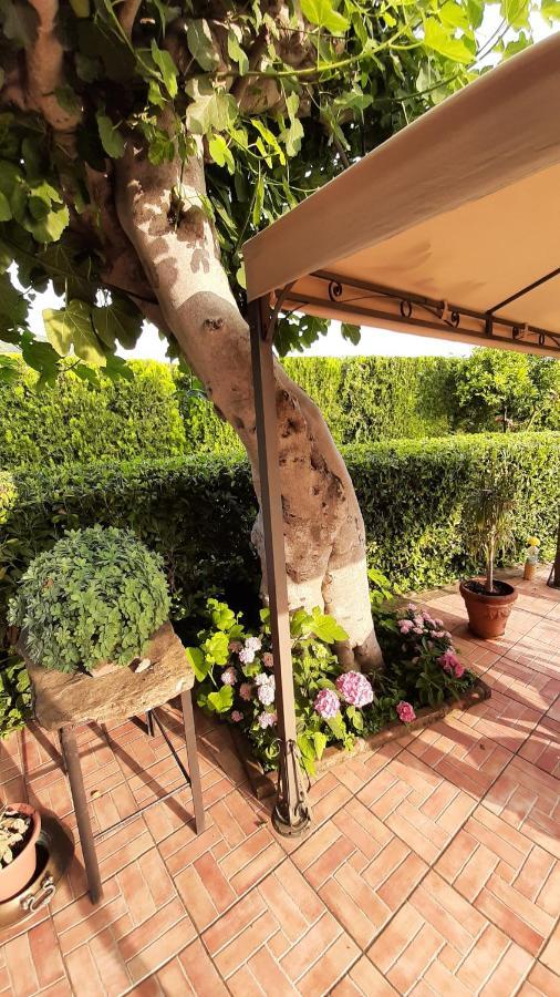 Bed and Breakfast Casale Battaglini Castelnuovo Cilento Екстер'єр фото